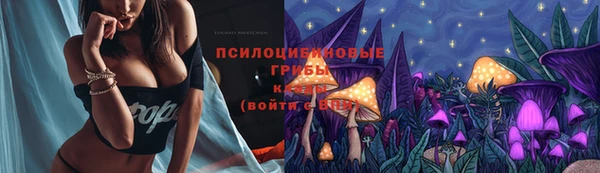 ГАЛЛЮЦИНОГЕННЫЕ ГРИБЫ Пестово