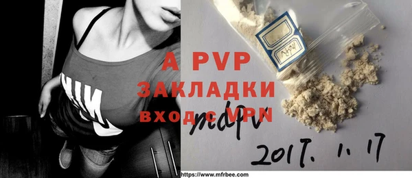 ГАЛЛЮЦИНОГЕННЫЕ ГРИБЫ Пестово