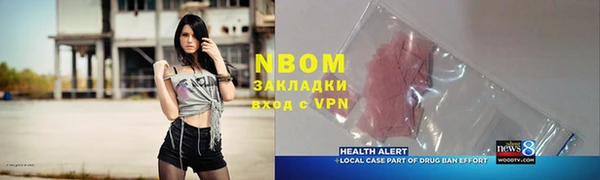 индика Пересвет