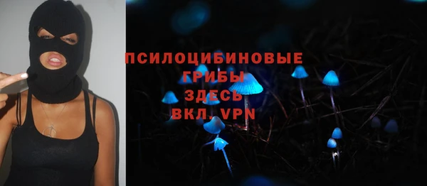 ГАЛЛЮЦИНОГЕННЫЕ ГРИБЫ Пестово