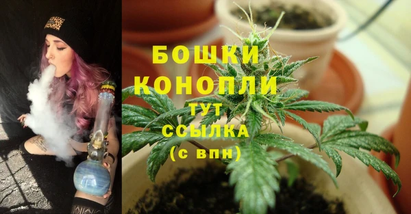 ГАЛЛЮЦИНОГЕННЫЕ ГРИБЫ Пестово