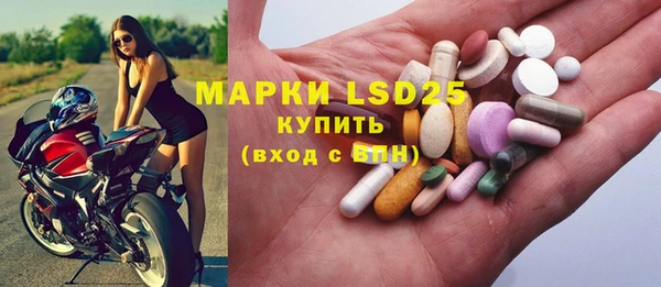 ГАЛЛЮЦИНОГЕННЫЕ ГРИБЫ Пестово