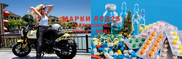 индика Пересвет