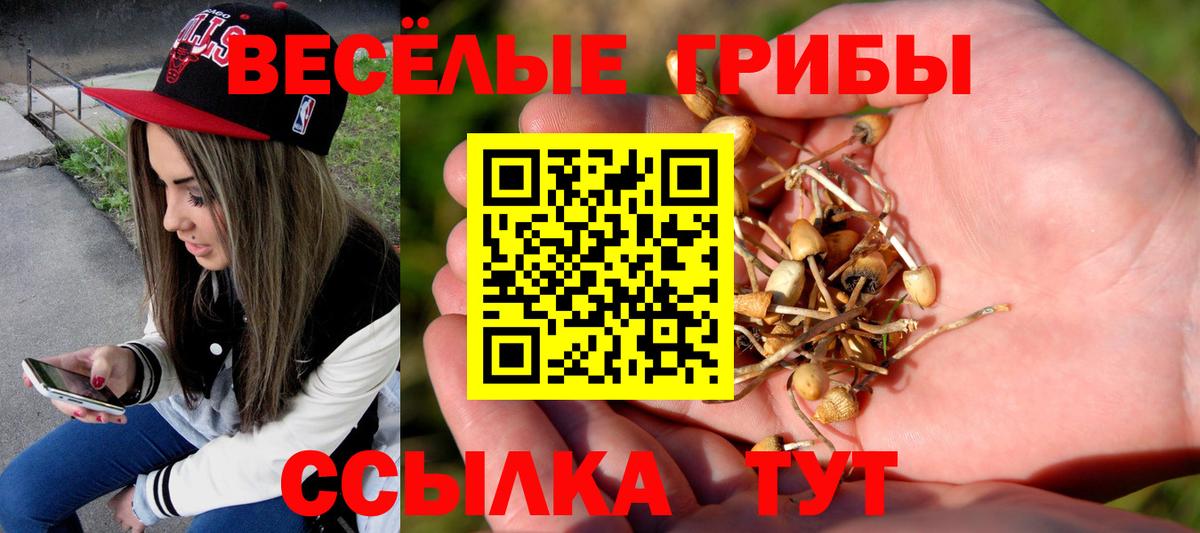 Галлюциногенные грибы Magic Shrooms  Вход с VPN  Абинск 