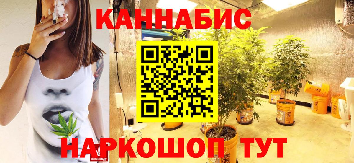 Бошки Шишки сатива  Марихуана сатива  Конопля гибрид  Абинск  Вход с VPN 